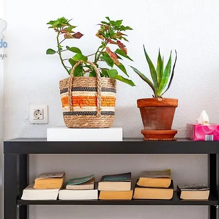 Appartement The Blue Cris-tol Vv With Sea View Puerto del Carmen (Lanzarote)